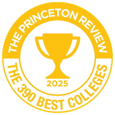 Princeton Review Badge